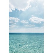 Indian Ocean Zanzibar - 自然 - 