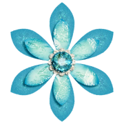 Jewel flower - 植物 - 