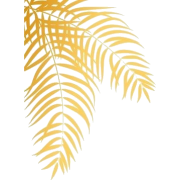 Leaf - Rastline - 
