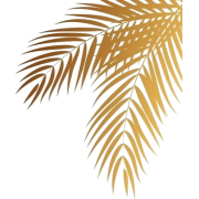 Leaf - Rastline - 