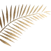 Leaf - Rastline - 