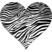 zebra heart - 插图 - 