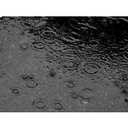 rain - Ozadje - 