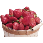 Strawberries - Frutta - 