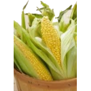 Corn - フード - 
