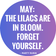 May: the lilacs are in bloom. Forget you - Texts - 
