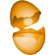 Eggshell - 插图 - 