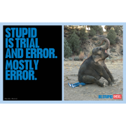 Stupid is trial and erro - Meine Fotos - 