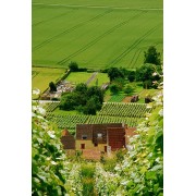 Near Saint-Thierry (Champagne, France) - Edificios - 