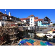 New Forest Southern England - 建筑物 - 