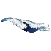 Ocean wave - 自然 - 