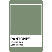 Pantone Color - Items - 