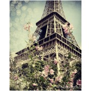 Paris Flowers - Tła - 