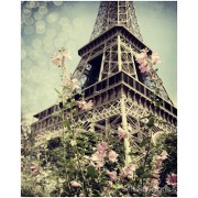 Paris Flowers - Fondo - 