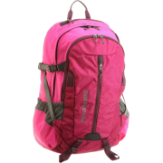 Patagonia Refugio Pack Magenta - Backpacks - $51.75 
