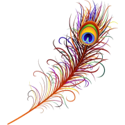 Peacock Feather Digital Clipart Vector - イラスト - 