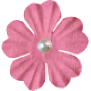 Pink Pearl Flower - 植物 - 