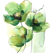 Plant - Biljke - 