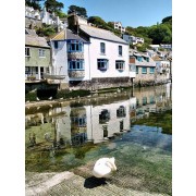 Polperro Slipway, South Cornwall UK - 建筑物 - 
