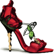 Rose shoe - 鞋 - 