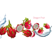 Red Dragon Fruit - フルーツ - 