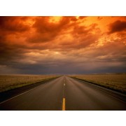 Road - Background - 