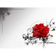 Rose Red - Fundos - 