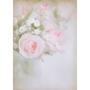 Roses - Minhas fotos - 