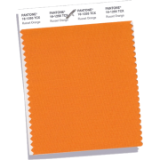 Russet Orange - 框架 - 