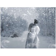 Snow Angel - Moje fotografije - 