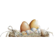 Spring Eggs - 插图 - 