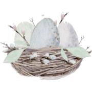 Spring Eggs - 插图 - 