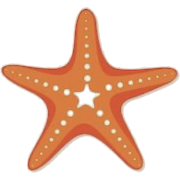 Starfish - 插图 - 