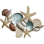 Starfish - 插图 - 