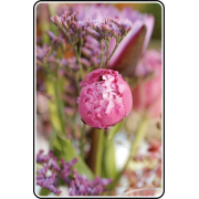 Tablescape - Items - 