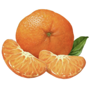 Tangerine - Frutas - 