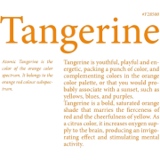 Tangerine text - Teksty - 
