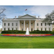 The white house - Fondo - 