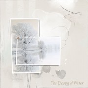 The_Beauty_of_Winter. - Illustrazioni - 