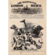 The illustrated london news from 1860 - Tekstovi - 