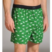 Tommy Hilfiger Hanging Woven Boxer (09T0112) Kelly Green - Underwear - $18.00 