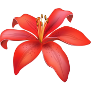 Tropical Flower - Uncategorized - 
