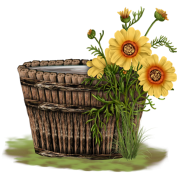 Tub with water and flowers - Predmeti - 