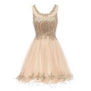 WDING Short Prom Dresses for Juniors Lace Appliques Tulle Homecoming Dress - Vestiti - $69.99  ~ 60.11€