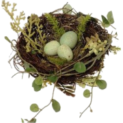 bird's nest - 動物 - 