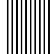 black and white stripes - 小物 - 