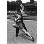 Tango - My photos - 