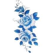 blue roses - Illustrazioni - 