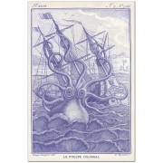 blue version of 1801 kraken illustration - Illustraciones - 
