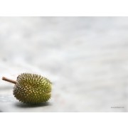 durian xDD    - Background - 